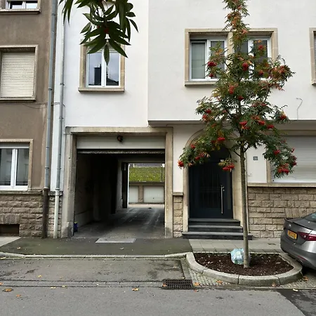 Fischer A La Petrusse 301 *