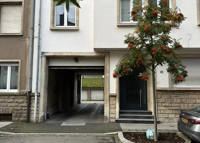 Fischer A La Petrusse 301 *